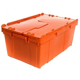 Caja Victoria