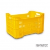 Caja Chapala